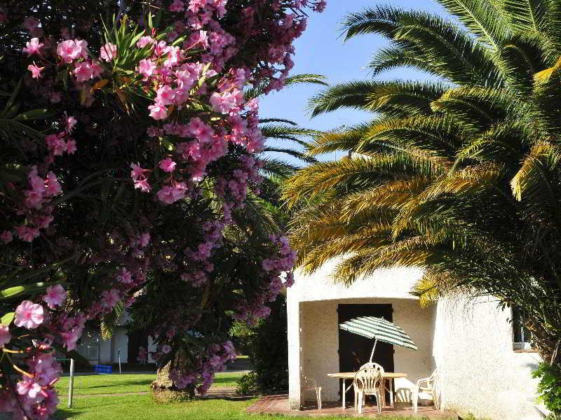 Hotel Le Domaine Du Mas Blanc By Popinns アレニャ エクステリア 写真