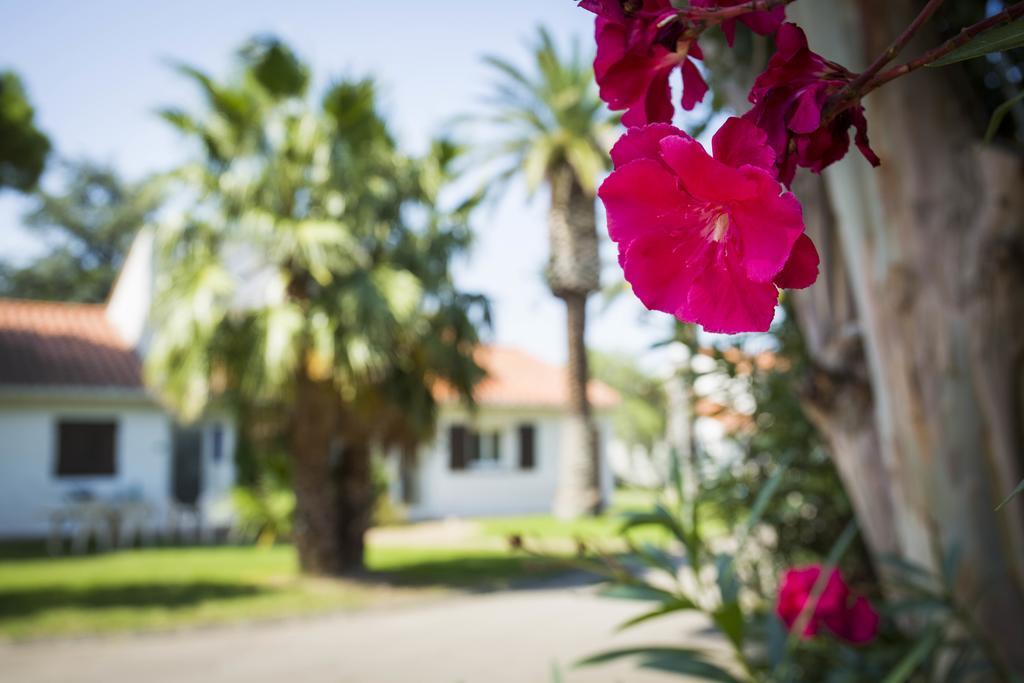 Hotel Le Domaine Du Mas Blanc By Popinns アレニャ エクステリア 写真